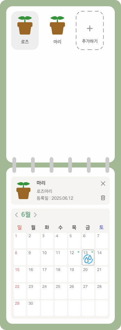 나만의 식물 성장 일기