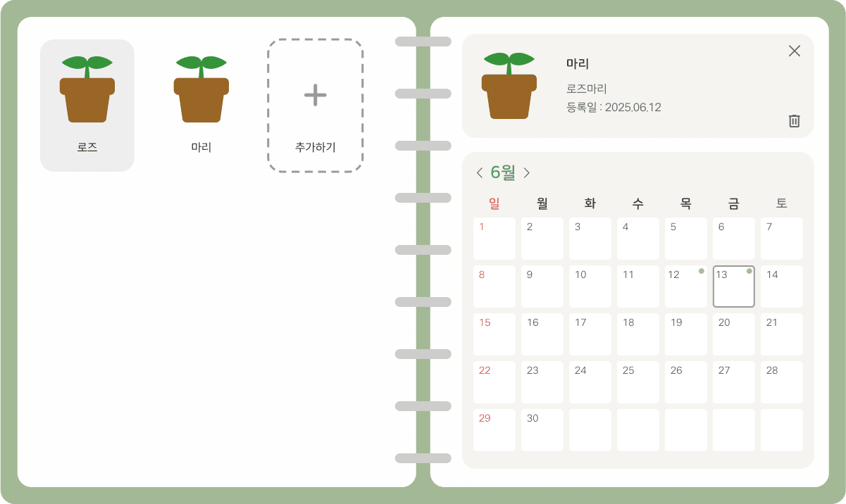 나만의 식물 성장 일기